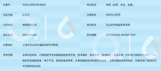 磐翼信息科技（上海） 專業信息咨詢服務，助力企業決策與創新